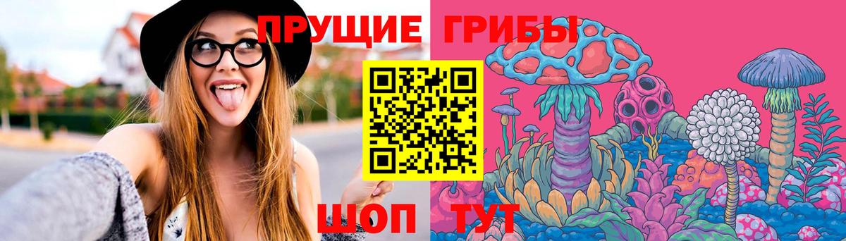 Екатеринбург  Галлюциногенные грибы Psilocybine cubensis  Вход с VPN  Галлюциногенные грибы GOLDEN TEACHER 